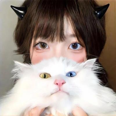 宝藏寻踪 海报